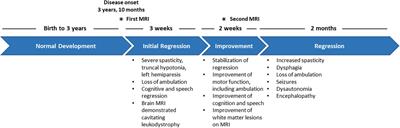 Neuropathological characterization of the cavitating leukoencephalopathy caused by COA8 cytochrome c oxidase deficiency: a case report